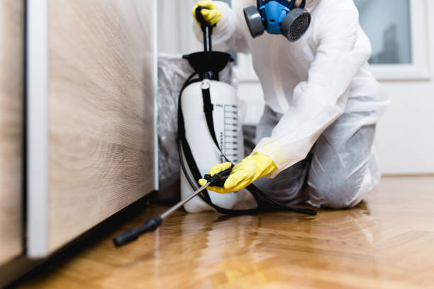 Best Pest Inspection Near Me  in Mayville, NY