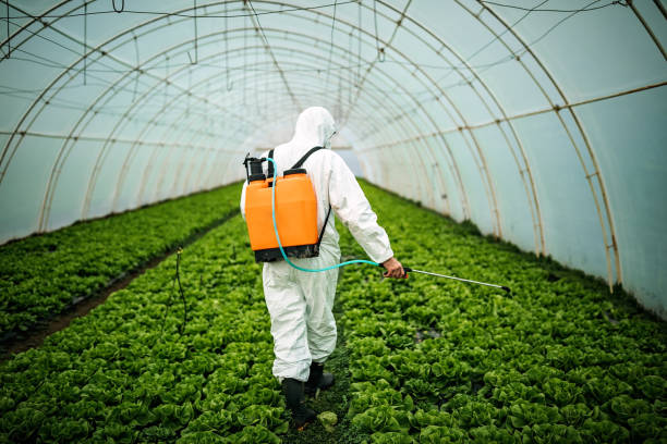 Best Commercial Pest Control Services  in Mayville, NY