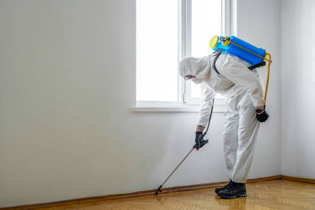 Best Emergency Pest Control  in Mayville, NY