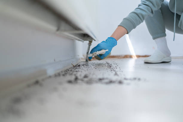Pest Control Cost in Mayville, NY